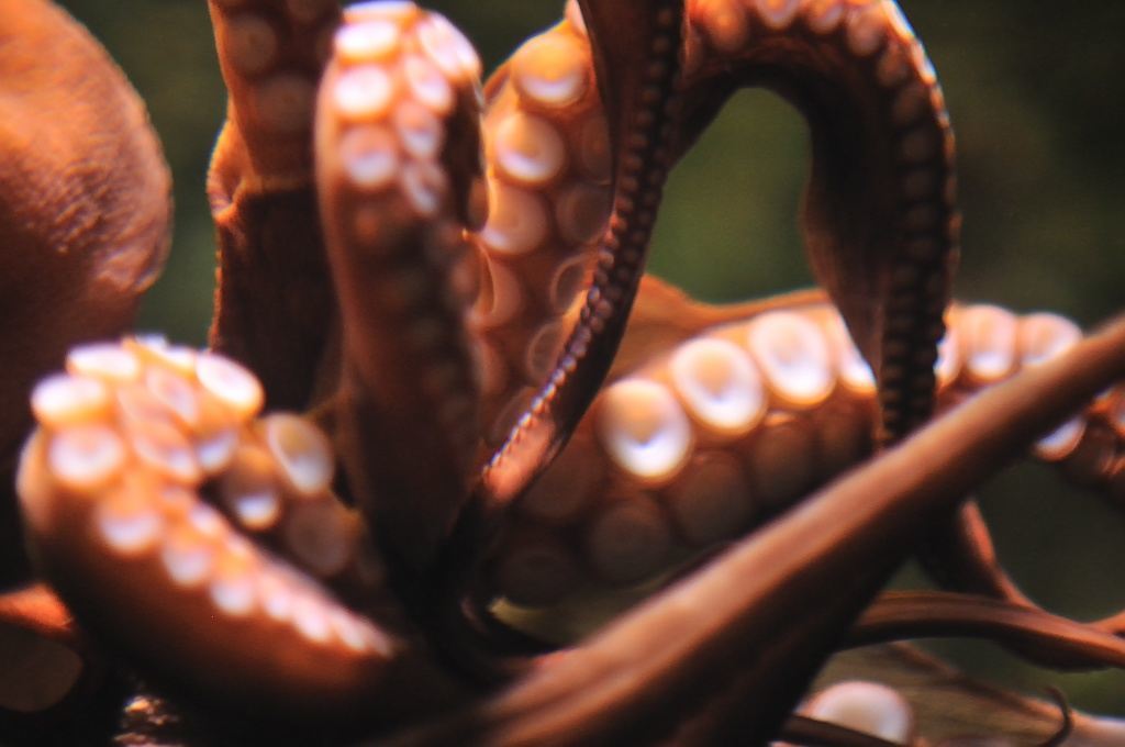 3224045861 28d452fd62 o