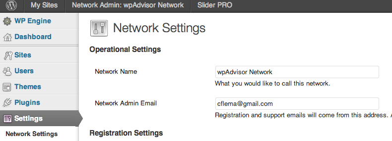 4NetworkSettings