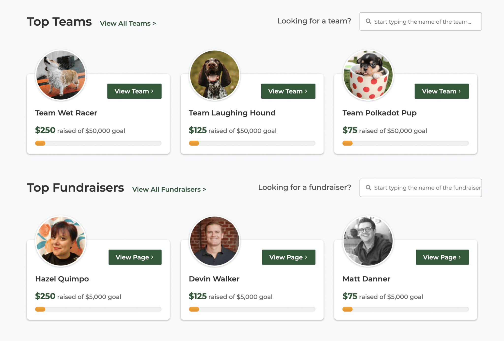 Peer To Peer Fundraising