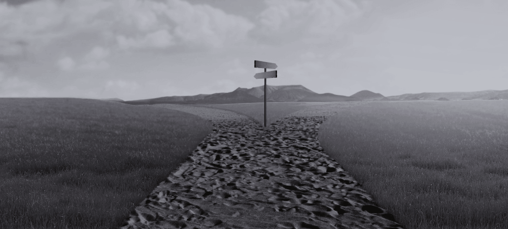 choosing between canvas genesis