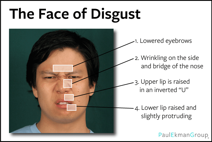 faceofdisgust